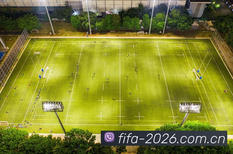 世界杯买球网站平台生态图